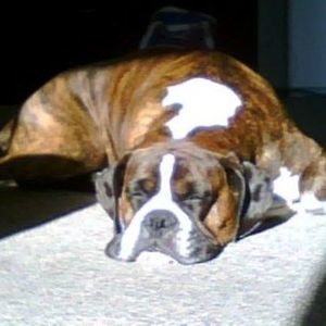 Meet your Posher, Greg